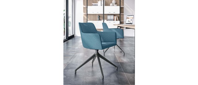 CITY VISITOR & MEETING CHAIR