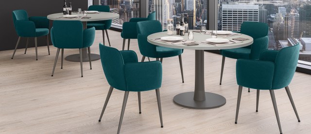 CITY VISITOR & MEETING CHAIR