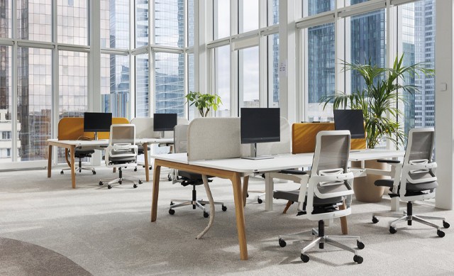 Opertive desk Levitate