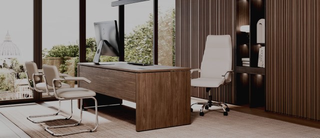 LYNX Executive chair